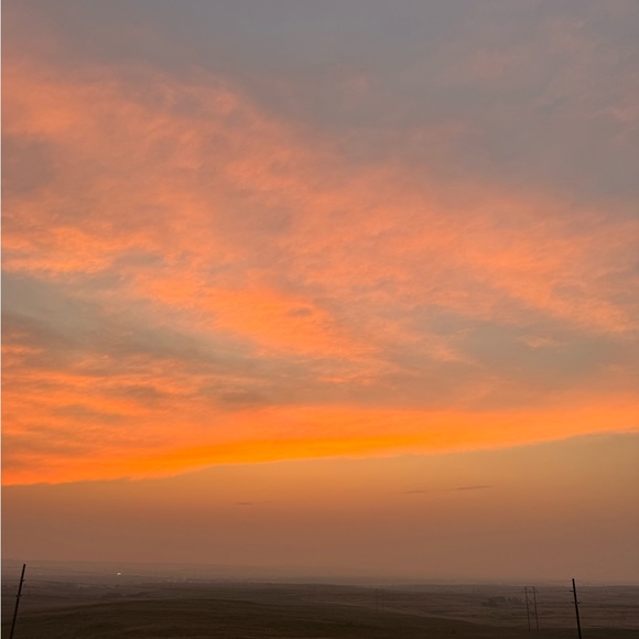 Meet your Posher, Devon - Picture 1 of 1